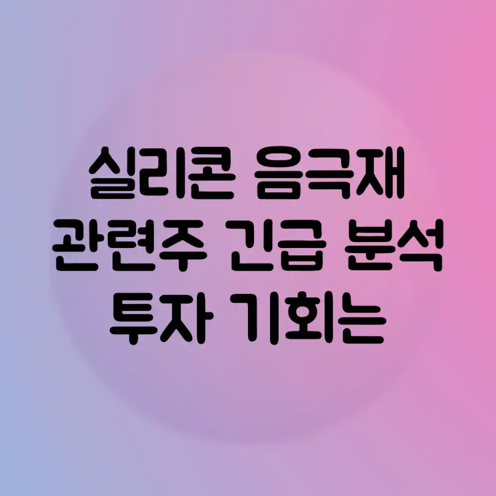 실리콘 음극재 관련주 긴급 분석! 투자 기회는?