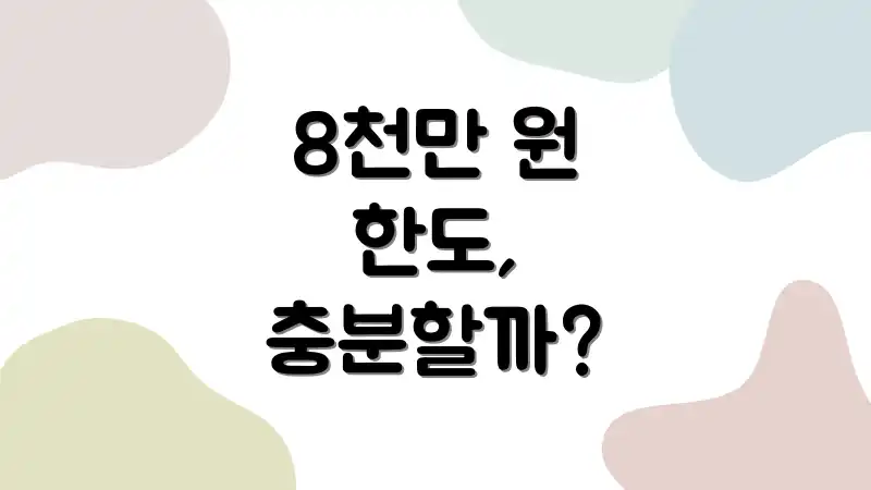 8천만 원 한도, 충분할까?