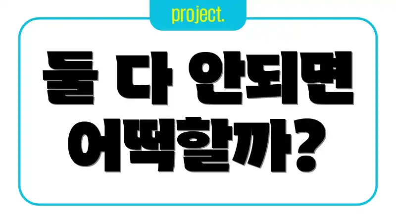 둘 다 안되면 어떡할까?