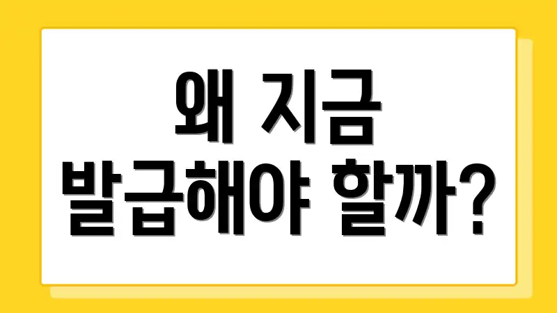 왜 지금 발급해야 할까?
