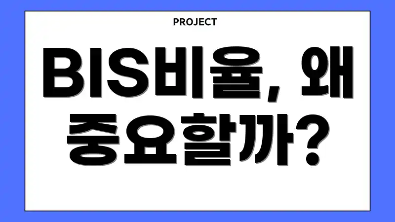 BIS비율, 왜 중요할까?