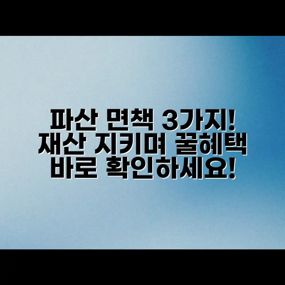 파산 면책 3가지, 재산 보전과 효과 파산 면책 3가지, 재산 보전과 효과