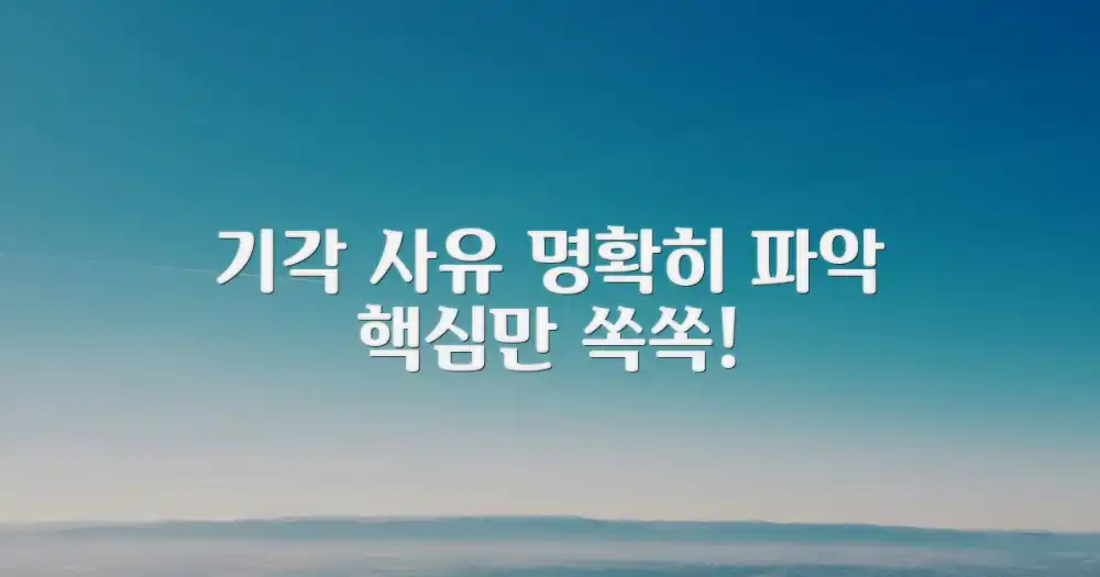 기각 사유, 명확히 파악하세요!